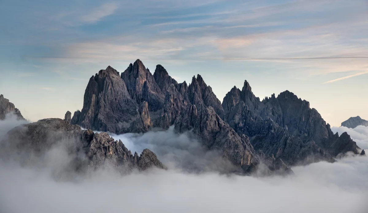  Does anyone also need to choose a chauffeur? 