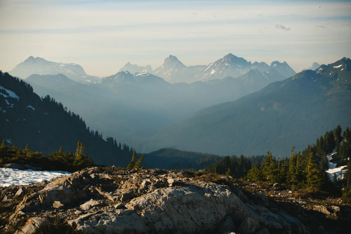 Czy da się w 2020  znaleźć dentystę w Cieszynie?