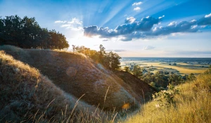 Czy można kupić para cord w dzień?