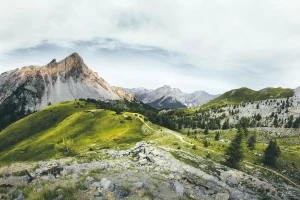 Czy ktoś też lubi sprowadzić samochód?